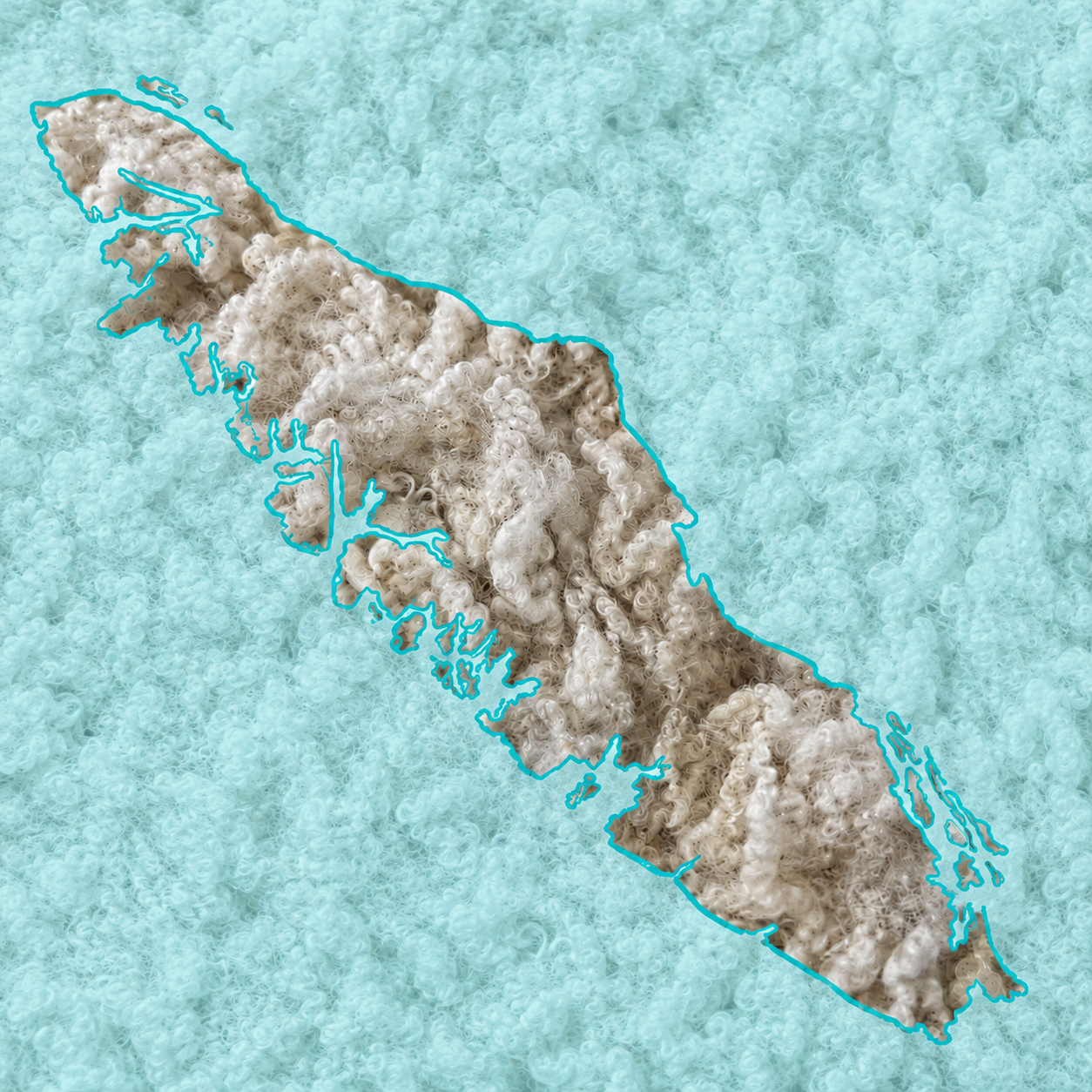 Vancouver Island Fibre