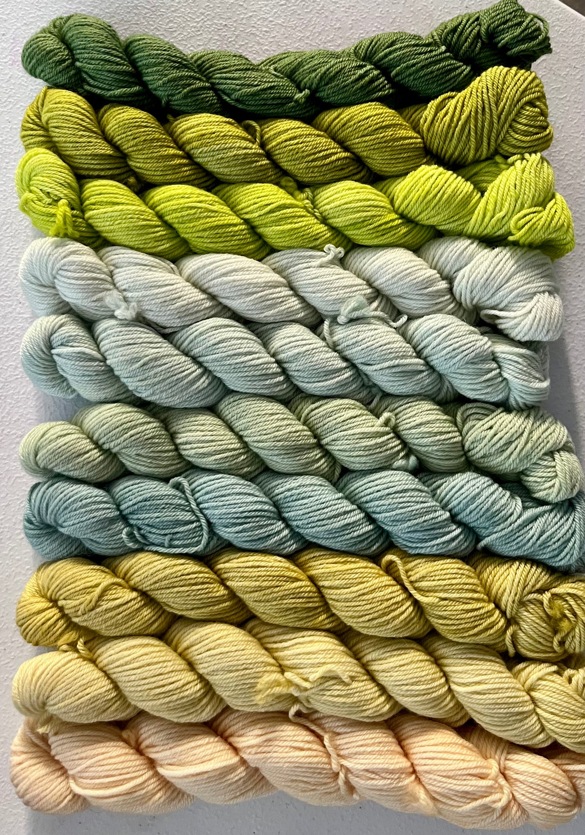 Pirouette Shawl Kit